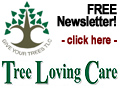 Tree Loving Care's tree care newsletter