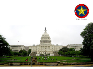 U.S. Capitol, Washington D.C.