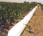 image: irrigation pipe